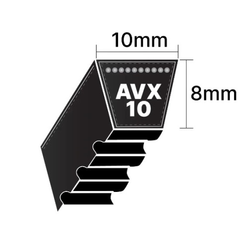 AVX10X1125 Belt