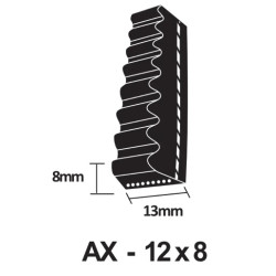 AX19 Cogged V Belt