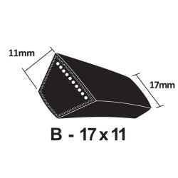 B100 V Belt