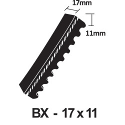 BX27 Cogged V Belt