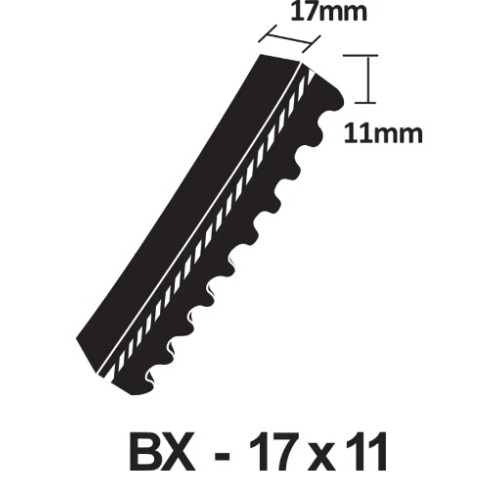 BX36 Cogged V Belt