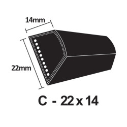 C100 V Belt