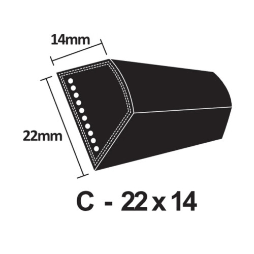 C103 V Belt