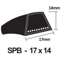 SPB1250 Wedge Belt SPB1250 Wedge Belt