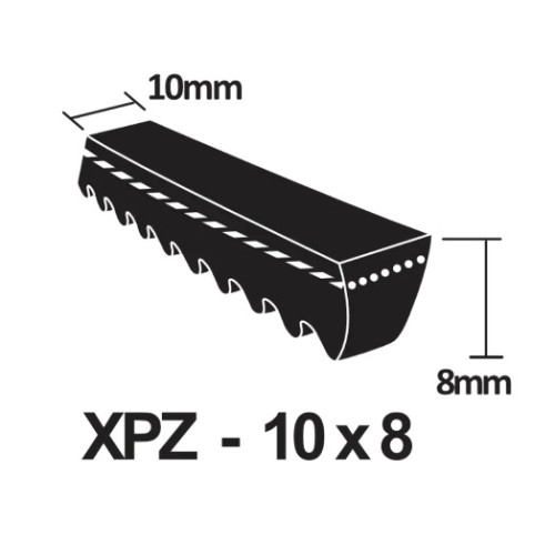 XPZ975 Cogged Wedge Belt